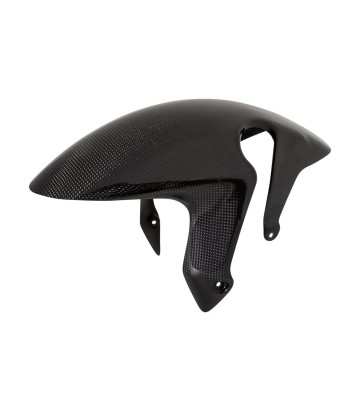 LighTech Carbon-Vorderradkotflügel für Honda CBR 1000 RR (08-19)