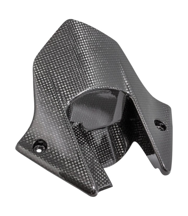 Achterspatbord van carbon LighTech voor Honda CBR 1000 RR (12-19)