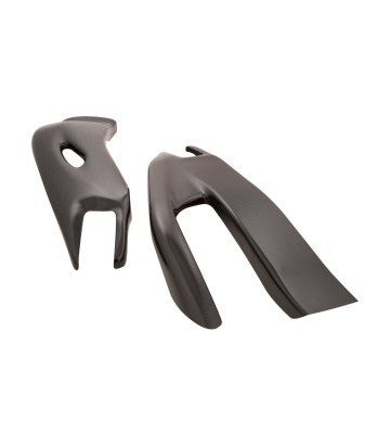 LighTech Carbon-Schwingenschutz für Honda CBR 1000 RR (17-19)