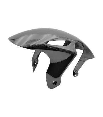 Parafango anteriore in carbonio LighTech per Honda CBR 1000 RR (20-25)