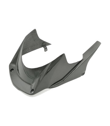 Achterspatbord van carbon LighTech voor Honda CBR 1000 RR (20-25)