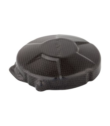 Tampa de alternador de carbono LighTech para Honda CBR 600 RR (07-16)