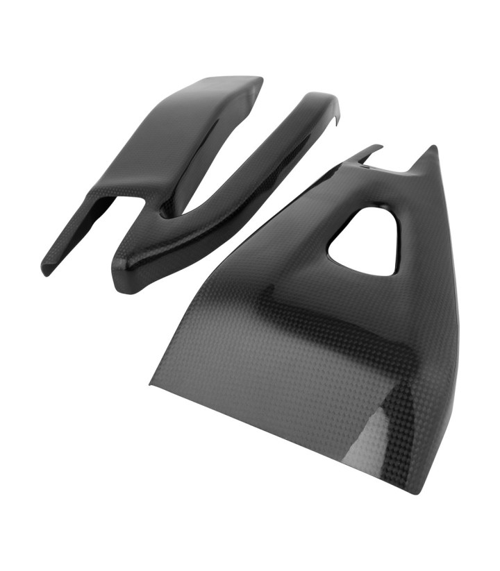 LighTech Carbon-Schwingenschutz für Honda CBR 600 RR (07-16)