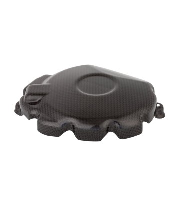 Coperchio alternatore in carbonio LighTech per Honda CBR 1000 RR (08-16)