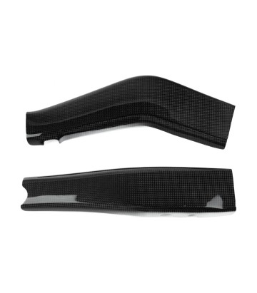 Protezione forcellone in carbonio LighTech per Kawasaki ZX 4 RR (24-25)