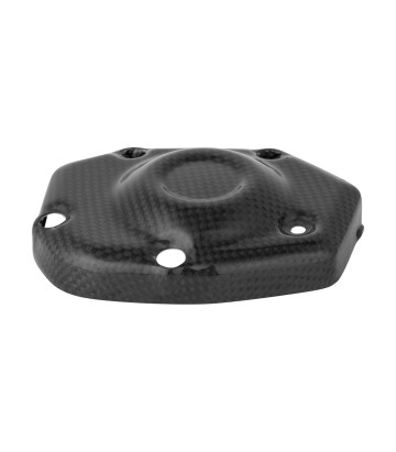 Tapa de Pick Up de Carbono LighTech para Kawasaki Z 900 (17-25)