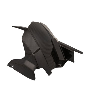 Parafango posteriore in carbonio LighTech per Kawasaki Z 900 (17-25)