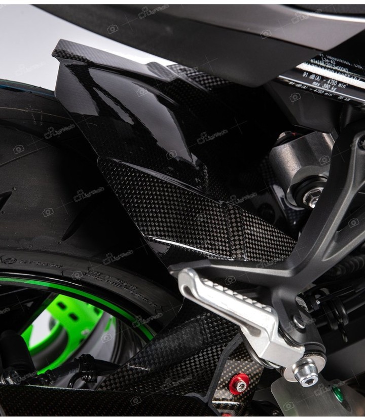 Guardabarros Trasero de Carbono LighTech para Kawasaki Z 900 (17-25)
