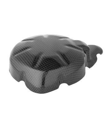 LighTech Carbon-Lichtmaschinendeckel für Kawasaki Z 900 (17-25)