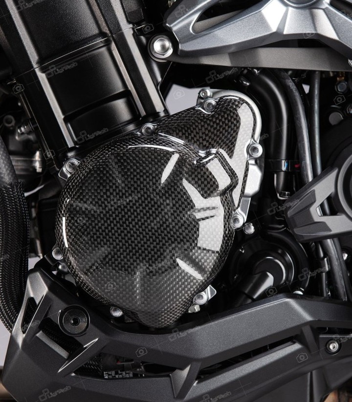 LighTech Carbon-Lichtmaschinendeckel für Kawasaki Z 900 (17-25)
