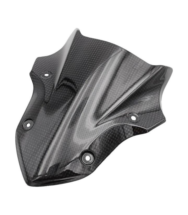 Tapa de Relojes de Carbono LighTech para Kawasaki Z 900 (17-21)