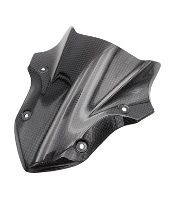 Tampa do painel de instrumentos de carbono LighTech para Kawasaki Z 900 (17-21)