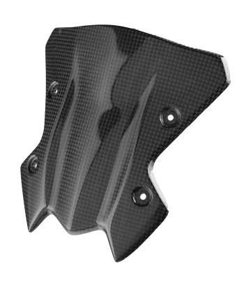 LighTech Carbon Instrument Cover for Kawasaki Z 900 (17-24)