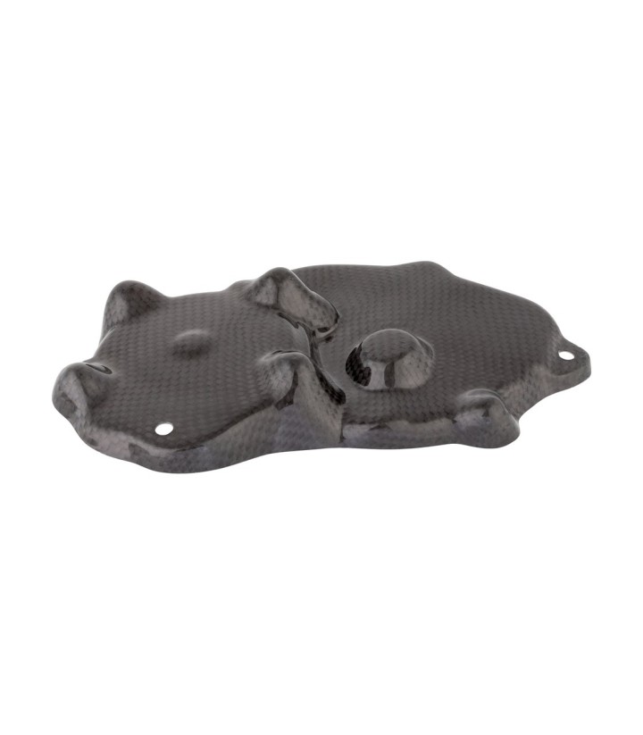 Tampa de pick-up de carbono LighTech para Kawasaki ZX 6 R (09-25)