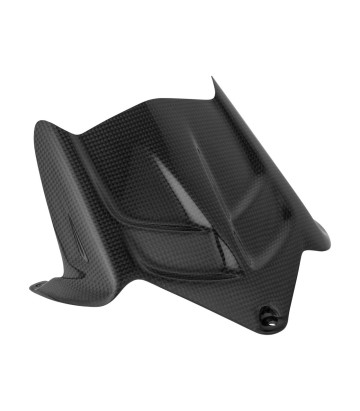 Parafango posteriore in carbonio LighTech per Kawasaki ZX 6 R (09-25)