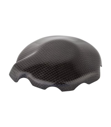 Coperchio alternatore in carbonio LighTech per Kawasaki ZX 6 R (09-25)
