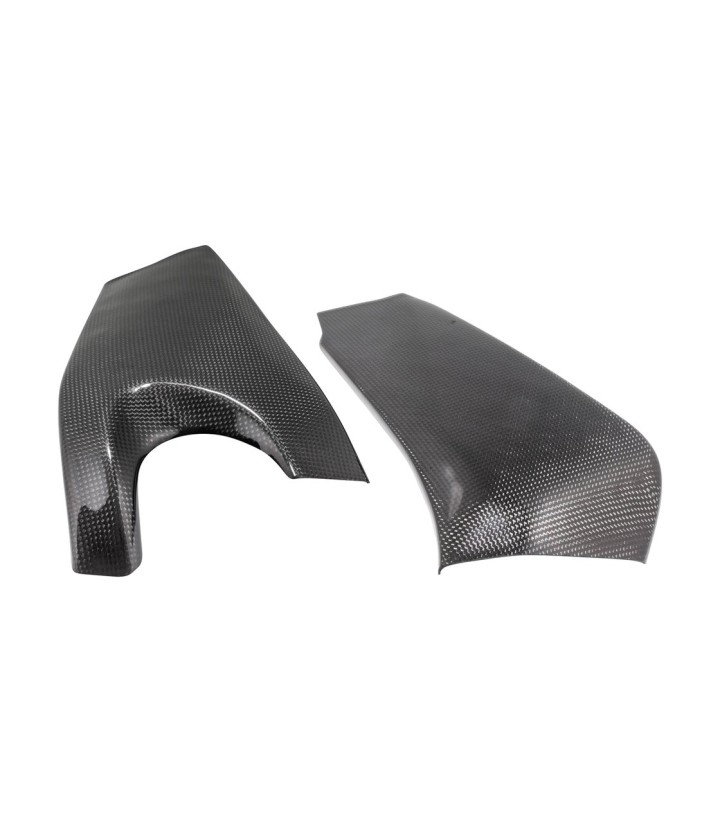Proteção do braço oscilante de carbono LighTech para Kawasaki ZX 6 R (09-25)