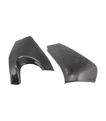 Protezione forcellone in carbonio LighTech per Kawasaki ZX 6 R (09-25)