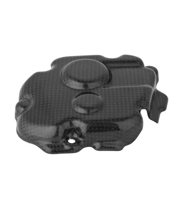 LighTech Carbon-Pick-up-Abdeckung für Kawasaki ZX 10 R (11-25)
