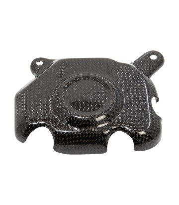 Tapa de Pick Up de Carbono LighTech para Kawasaki Z 800 (13-16)