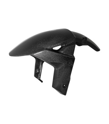 Guardabarros Delantero de Carbono LighTech para Kawasaki ZX 10 R (16-25)