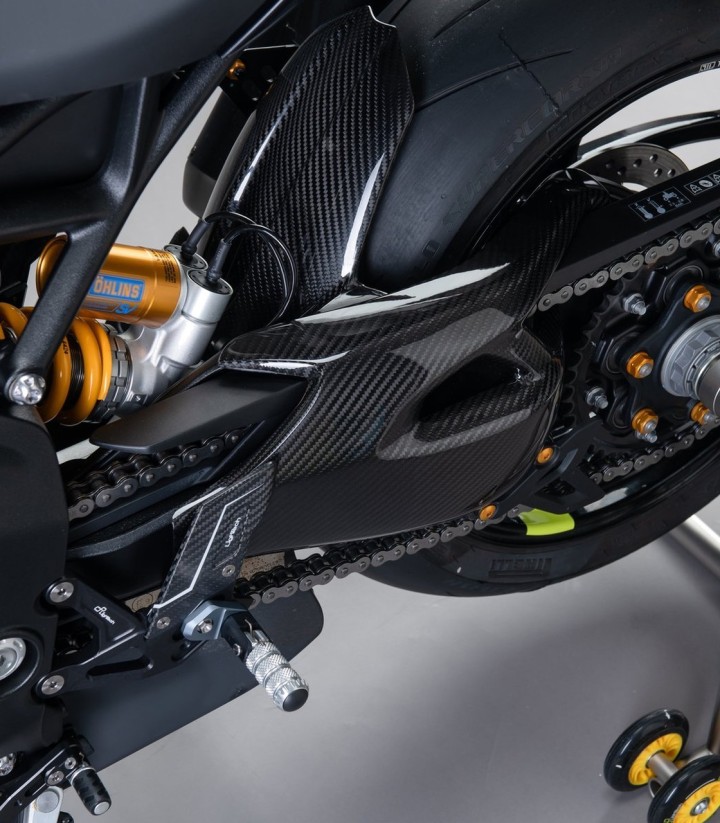 LighTech Carbon-Schwingenschutz für Triumph Speed Triple 1200 (21-25)