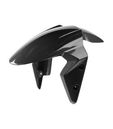 LighTech Carbon Front Mudguard for Triumph Street Triple 765 (17-25)