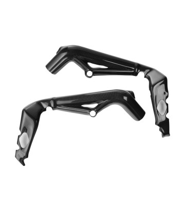 Framebescherming van carbon LighTech voor Triumph Street Triple 765 (17-25)