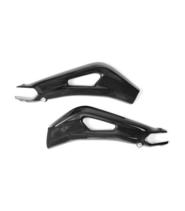 Protezione forcellone in carbonio LighTech per Triumph Street Triple 765 (17-25)