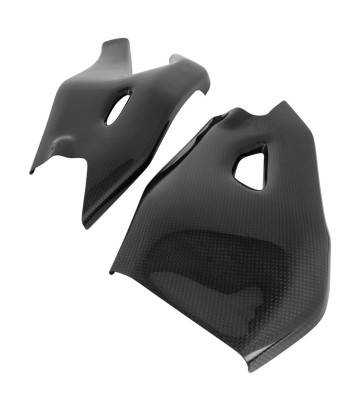 Protection de bras oscillant en carbone LighTech pour Yamaha MT 10 (16-21), YZF R1 (15-25)