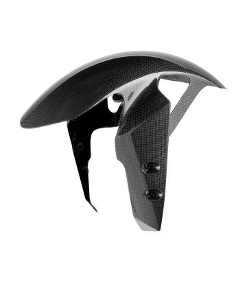 LighTech Carbon Front Mudguard for Yamaha YZF R1 (20-25)