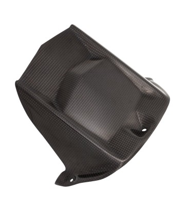 LighTech Carbon-Hinterradkotflügel für Yamaha YZF R6 (06-24)