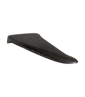LighTech Carbon-Kettenschutz Universal