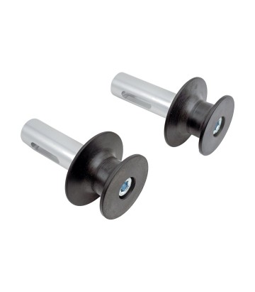 LighTech Ersatzrollen-Set mit Stiften für Aprilia Tuono V4 1100 (25)