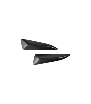 Tankafdekking van carbon LighTech voor Ducati Panigale 1000 V4 R (26), Panigale 1100 V4 (25-26)