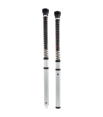 Cartucho Horquilla Öhlins para BMW R 12 nineT (24-26) FKS 530