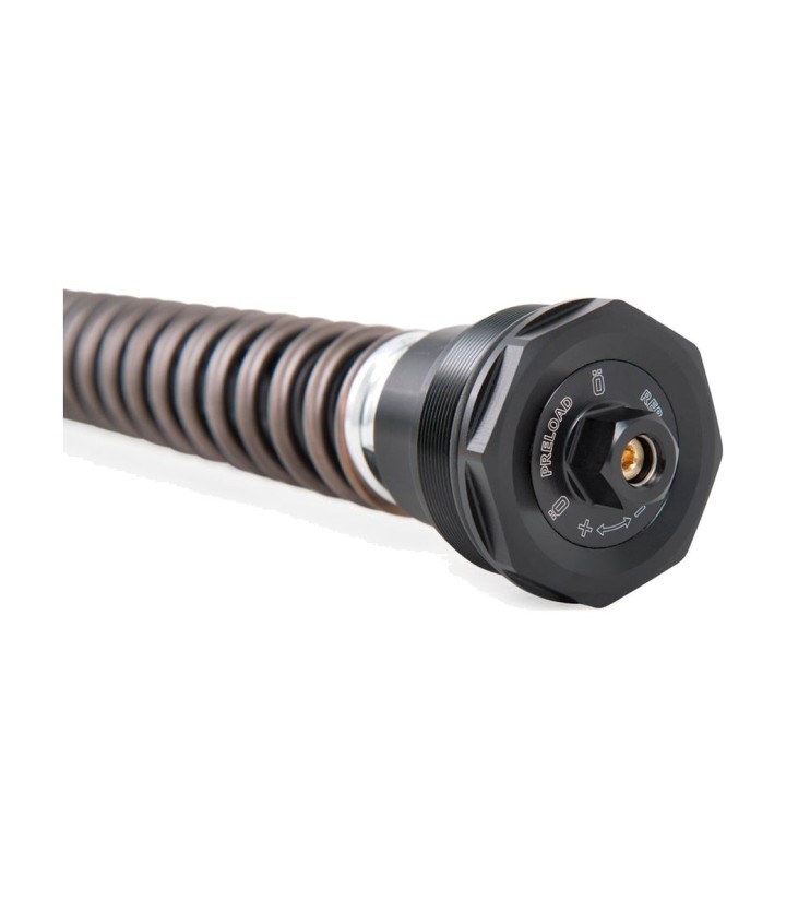 Cartucho Horquilla Öhlins para BMW R 12 nineT (24-26) FKS 530