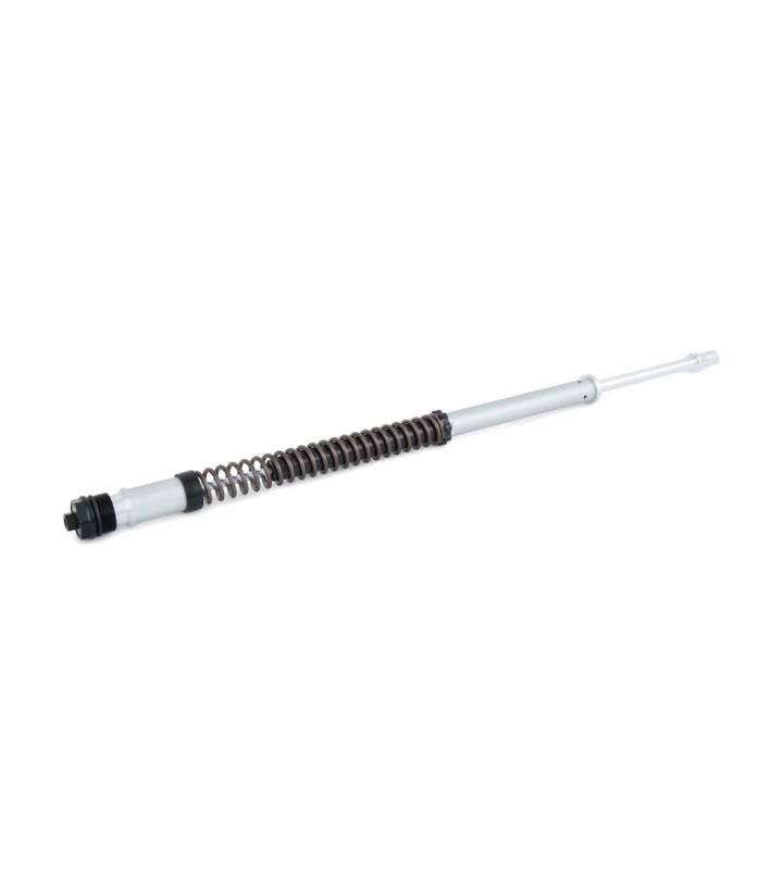 Cartucho Horquilla Öhlins para Harley-Davidson Touring (17-26) FKS 234