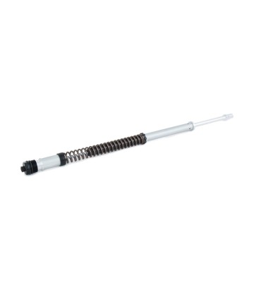 Cartucho Horquilla Öhlins para Harley-Davidson Touring (17-26) FKS 234