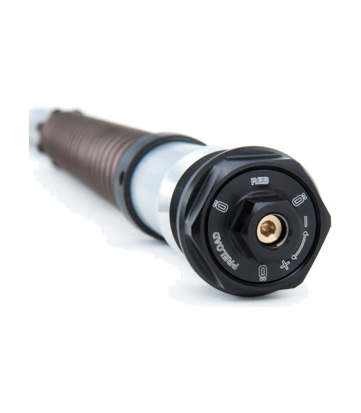 Öhlins Fork Cartridge for Harley-Davidson Touring (17-26) FKS 234