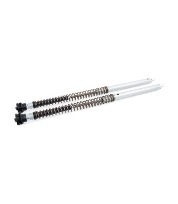 Cartucho Horquilla Öhlins para KTM 790 Adventure R (19-25), 890 Adventure R (21-25) FKA 222