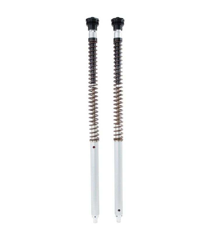 Cartucho Horquilla Öhlins para CFMOTO 800MT-X (25-26) FKA 224