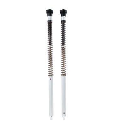 Cartucho Horquilla Öhlins para CFMOTO 800MT-X (25-26) FKA 224