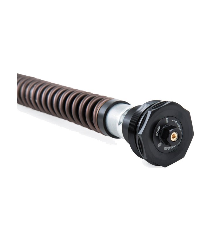 Cartucho Horquilla Öhlins para CFMOTO 800MT-X (25-26) FKA 224
