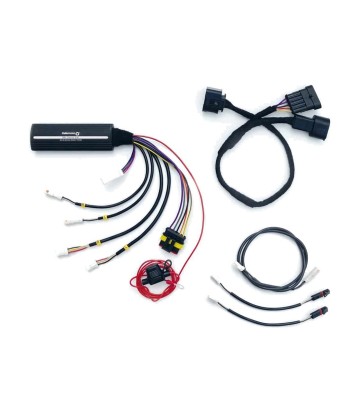 Kit Técnico Kellermann Dayron con Intermitente de 6 Pines para BMW R 1250 GS (18-23) 112704