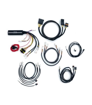 Kit tecnico Kellermann Dayron con indicatore di direzione per Harley-Davidson Pan America 1250 Special (21-23) 112752