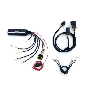Kit técnico Kellermann Dayron sem pisca para BMW R NineT com luz diurna de origem (19-23) 112711