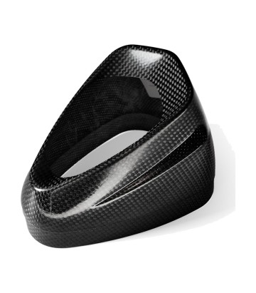 Cono di uscita Akrapovič in carbonio per BMW M 1000 R/RR (21-26), S 1000 R (21-26), S 1000 RR (19-26) V-EC363