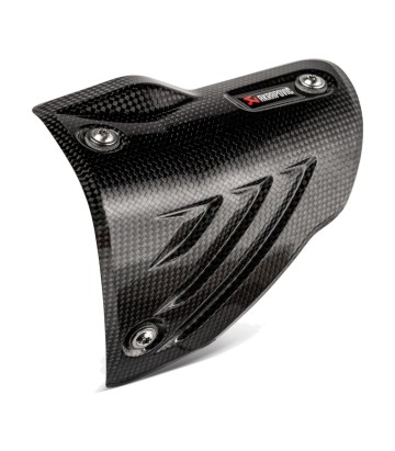 Paracalore Akrapovič in carbonio per BMW M/S 1000 R (21-26), M/S 1000 RR (19-26) P-HSB10E3