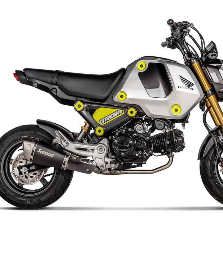 Akrapovič hitteschild van carbon voor Honda MSX 125 (21-26), NC 700 D Integra (21-26) P-HSH125SO1